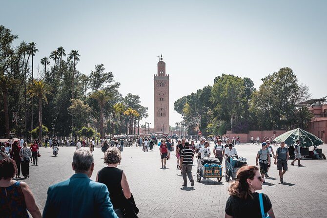 Private Full-Day Casablanca To Marrakech & camel ride - What Makes This Tour Stand Out?