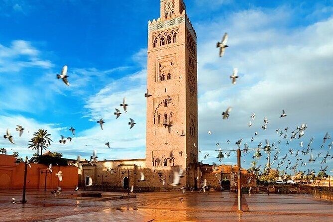 Private Full Day Guided Tour in Marrakech City - What’s Included and What’s Not