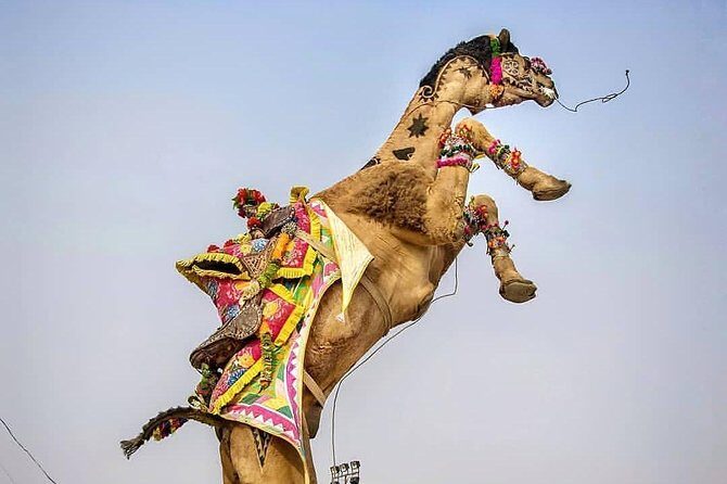 Private Full Day Jaipur Sightseeing Tour By Tuk-Tuk (Rickshaw) - The Sum Up