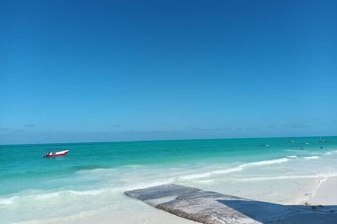 Private Full Day Jozani, Paje Beach and Rock Restaurant Tour - The Rock Restaurant: A Dining Experience with a View