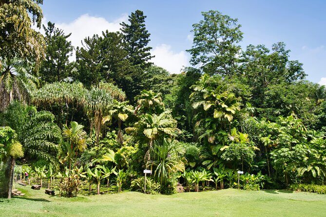 Private full day Mahe island tour 8-10 persons - Why This Tour Offers Value