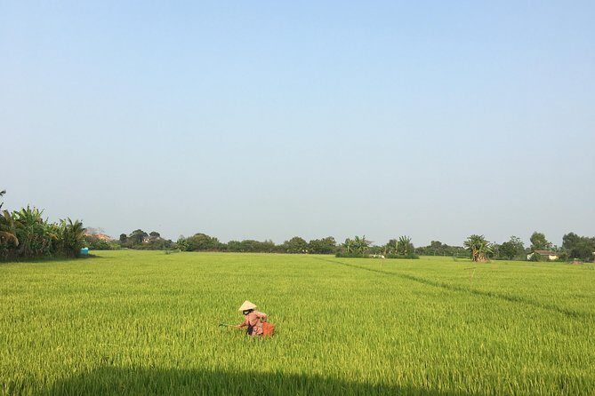 Private Full-day Mekong Tour From Ho Chi Minh City, Including River Cruise - Practical Details and Considerations