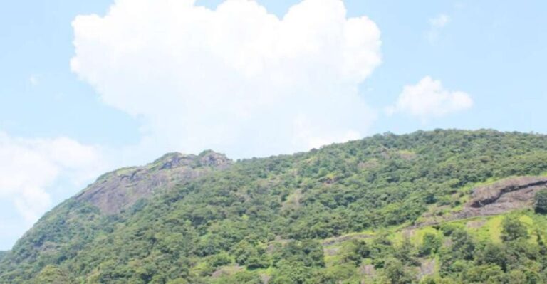Private Full day Nandi Hill Excursion with Lunch - Who Will Love This Tour?