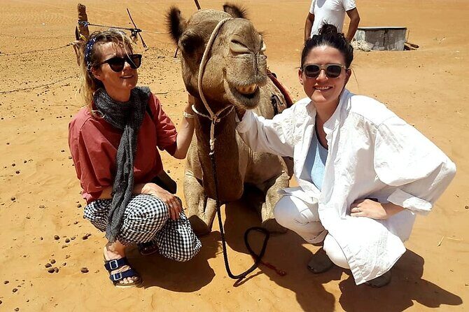 Private Full Day Private Desert Safari Tour - The Experience: What Travelers Are Saying