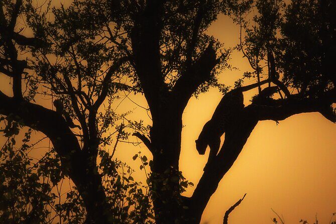 Private Full Day Safari (10 hours) in Kruger National Park - Who Should Consider This Safari?