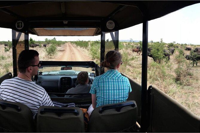 Private Full Day Safari l Kruger National Park from Hazyview or Skukuza - How the Itinerary Unfolds