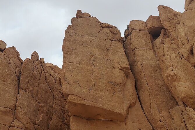 Private Full Day Sinai Desert Adventures - Who Should Consider This Tour?
