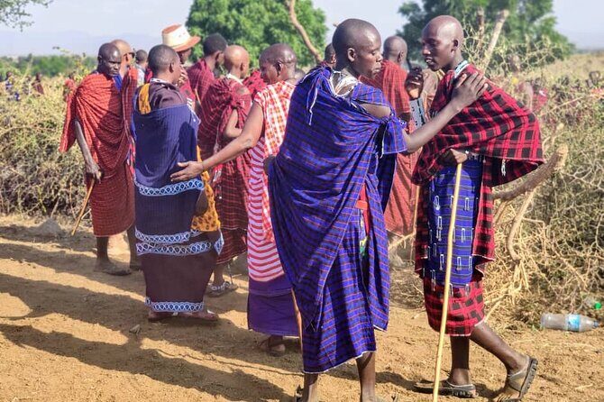 Private Full-Day Tour Maasai Village and Kikuletwa Hot Spring - Final Thoughts: Is This Tour for You?