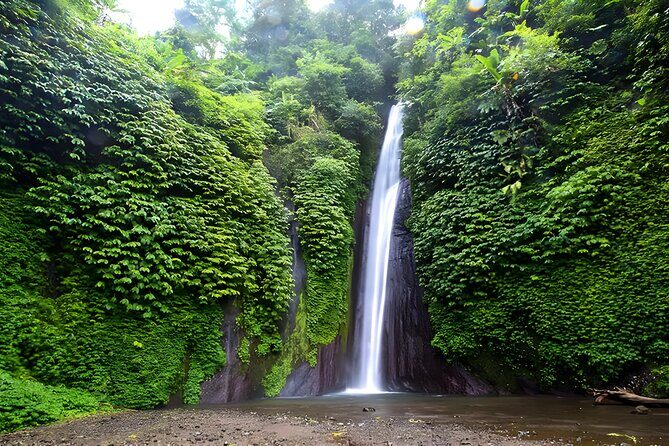 Private Full-Day Tour : North Bali Trip to Discover The Culture of Bali Island - Practical Details and Value