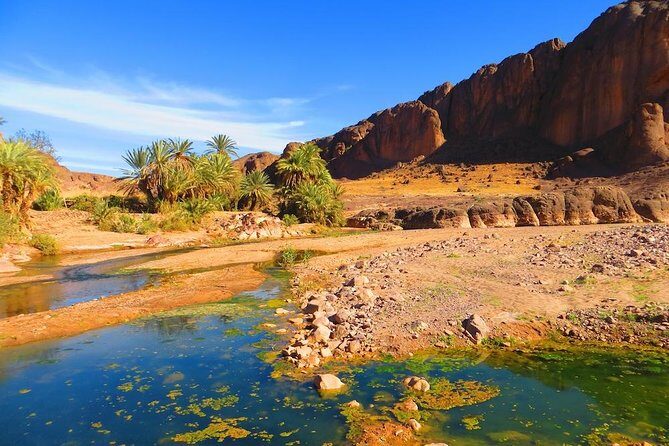 Private Full-Day Tour of Ouarzazate and Oasis Fint - A Closer Look at What to Expect on This Tour