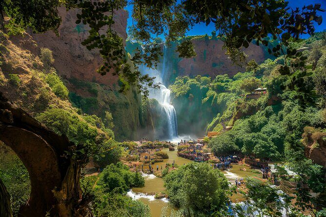 Private Full Day Tour Ouzoud Waterfalls from Marrakech - What Makes This Tour Stand Out?
