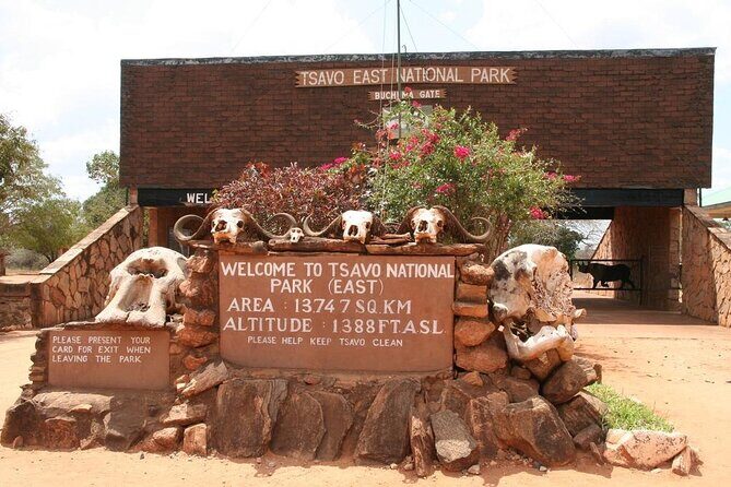 Private full day tour to Tsavo East National Park - Who Should Consider This Tour?