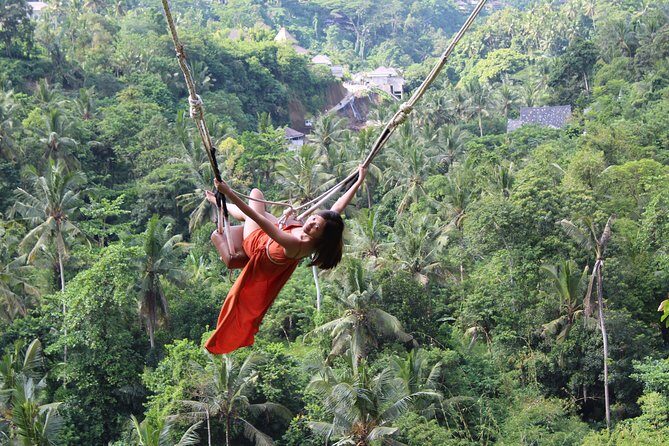 Private Full Day Tour to Ubud Highlights with Giant Swing - What’s Included and What Not