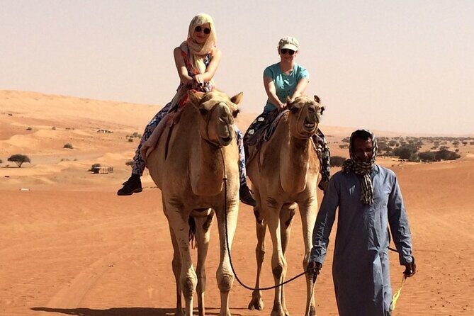 Private Full Day Tour to Wahiba Sands Desert and Wadi Hawer - The Value of a Guided Private Tour