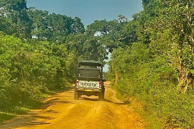 Private Full Day Udawalawe Safari Trip with Lunch - Final Thoughts: Who Is This Tour Ideal For?