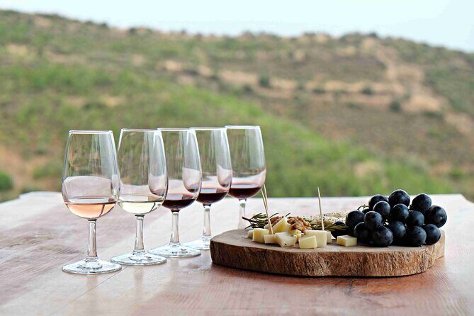Private Full Day Wine Tour in Cape Town - Real Voices from Travelers