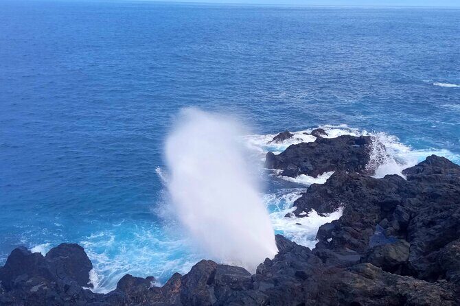 Private Full Tour of Reunion Island with Driver Guide - What Travelers Say