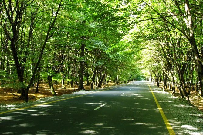 Private Gabala Tour - What Sets This Tour Apart