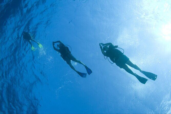 Private Glass family Boat Snorkeling 4 hours - Why You’ll Love This Private Snorkeling Tour