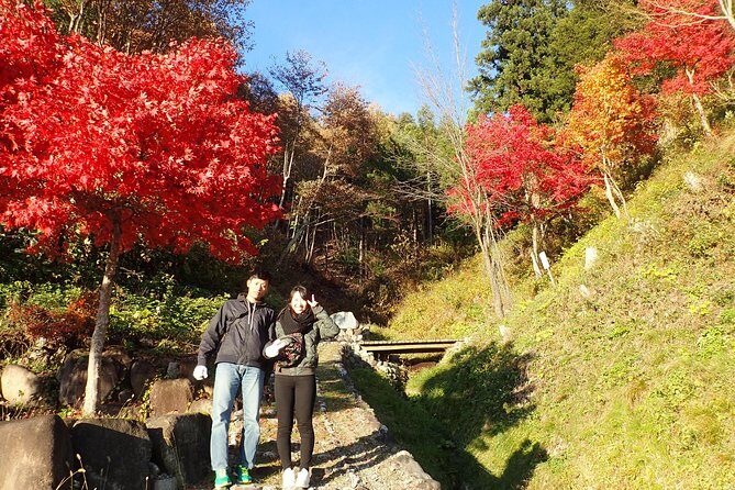 Private-group Morning Cycling Tour in Hida-Furukawa - Final Thoughts: Who Will Love This Tour?