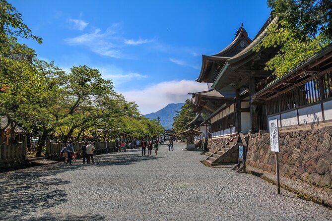Private guided tour: Mt. Aso volcano, grasslands, Aso Shrine - Why This Tour Delivers Great Value