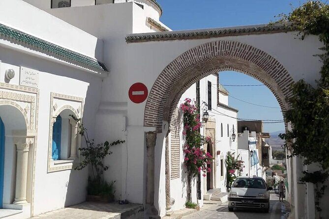 Private Guided Tour of Zaghouan, Thuburbo Majus and Dougga from Hammamet - Who Will Enjoy This Tour?