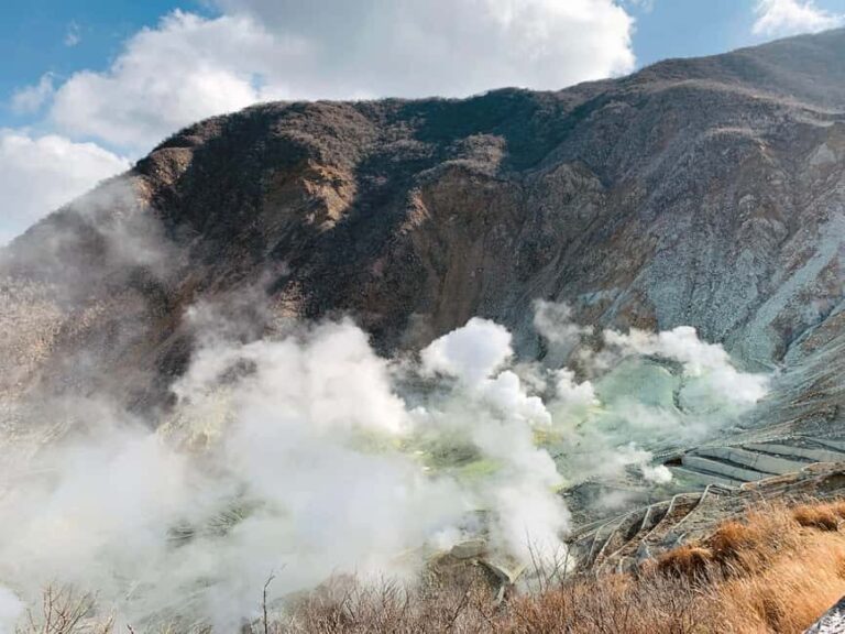 Private Hakone Tour - View Of Mt. Fuji, Nature And Culture - Transportation and Logistics: What to Expect