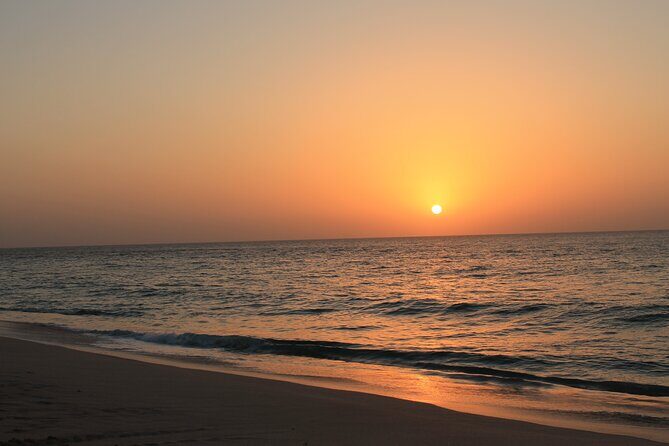 Private Half-Day Muscat City At Night Tour - What It Means for You
