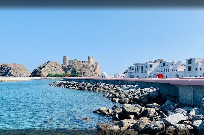 Private Half Day Muscat City Tour Afternoon - Who Will Love This Tour?