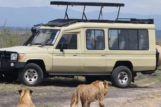 Private Half Day Tour in Nairobi National Park Safari - The Itinerary: What You Can Expect