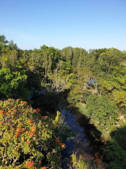 Private half day tour - Nature, wildlife & forest in Can Tho - Practical Details: What You Need to Know