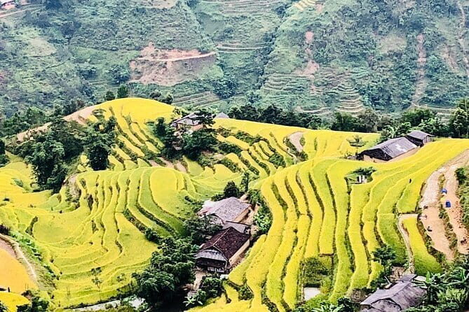 Private Half-Day Tour of Villages, Terrace Rice Fields by Car - From the Reviews: What Travelers Say