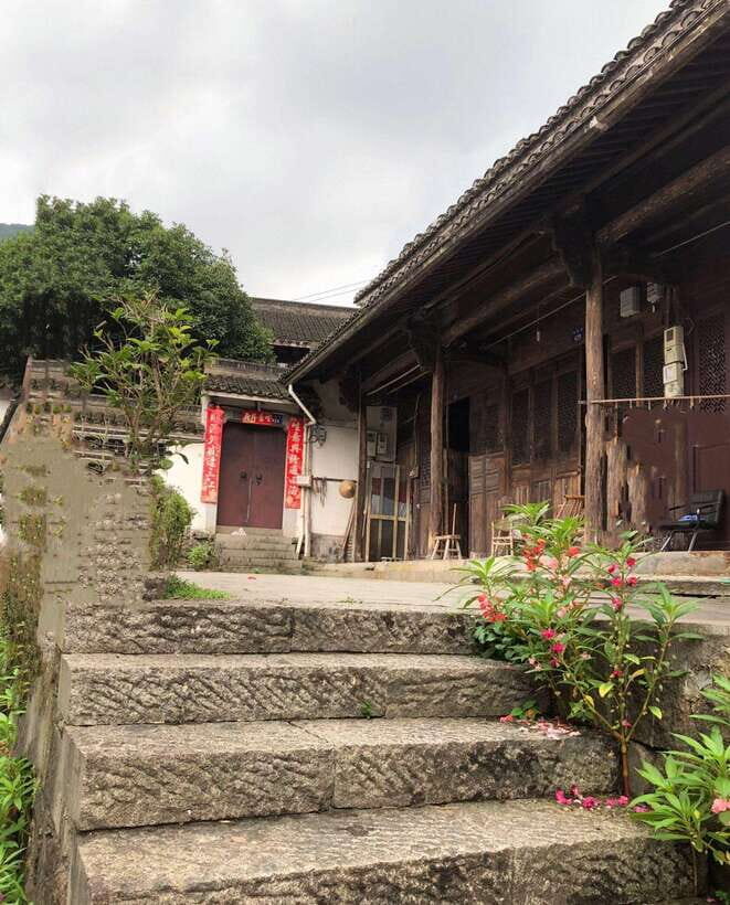 Private Hangzhou Tea Cultural Day Tour - What Makes This Tour Stand Out?
