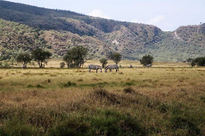 Private Hiking Day Trip to Mt. Longonot from Nairobi - Final Thoughts: Is It for You?