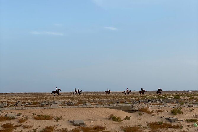 Private Horse Riding Experience at Red Sea - Who Will Love This Experience?