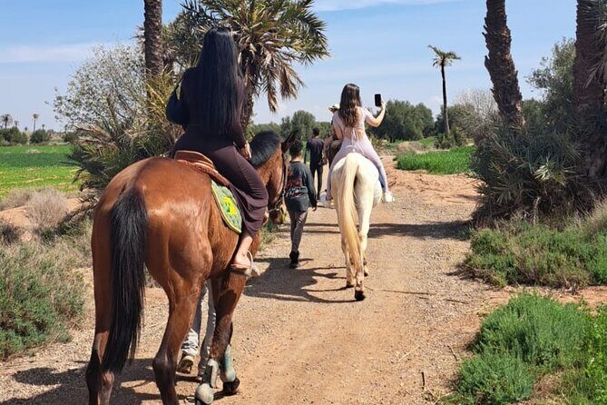 Private horseback ride in the Palmeraie of Marrakech - The Logistics: What to Expect