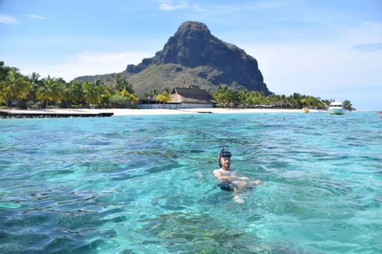 Private Île aux Bénitiers Boat: Dolphin Snorkeling & Lobster - FAQ