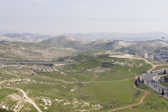 Private Israeli Wines Tour of the Central Israel - What to Expect at Each Stop