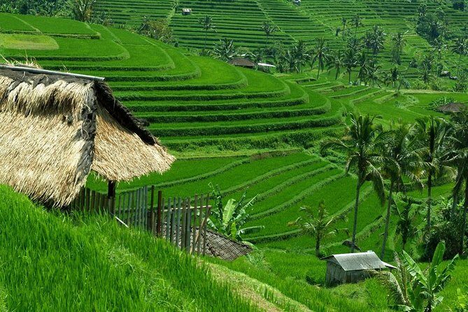 Private Jatiluwih Rice Terraces Heritage Site and Culture Tour - Why Travelers Love This Experience