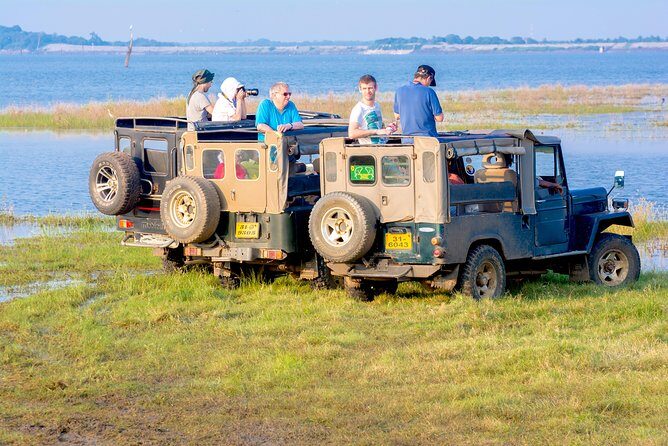 Private Jeep Safari at Minneriya National Park - An In-Depth Look at the Safari Experience
