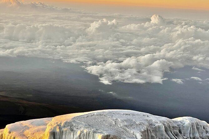 Private Kilimanjaro Hike 7 Day Lemosho Route - Day-by-Day Breakdown of the Trek