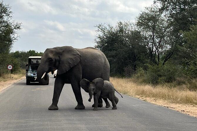 Private Kruger Park Safari and Panorama Route - What’s Included and What’s Not?
