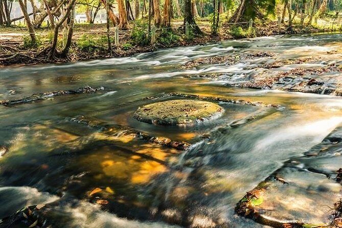 Private Kulen Mountain and Beng Mealea Temple Tour - The Sum Up