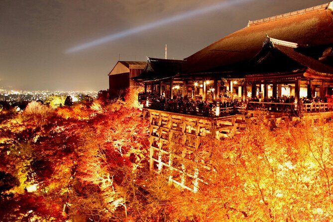 Private Kyoto Day Trip with English Speaking Driver - What’s Included and What’s Not?