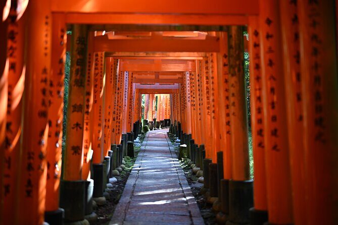Private Kyoto Nara Tour by Car with Deer, Buddha and More - What Makes This Tour a Great Deal?
