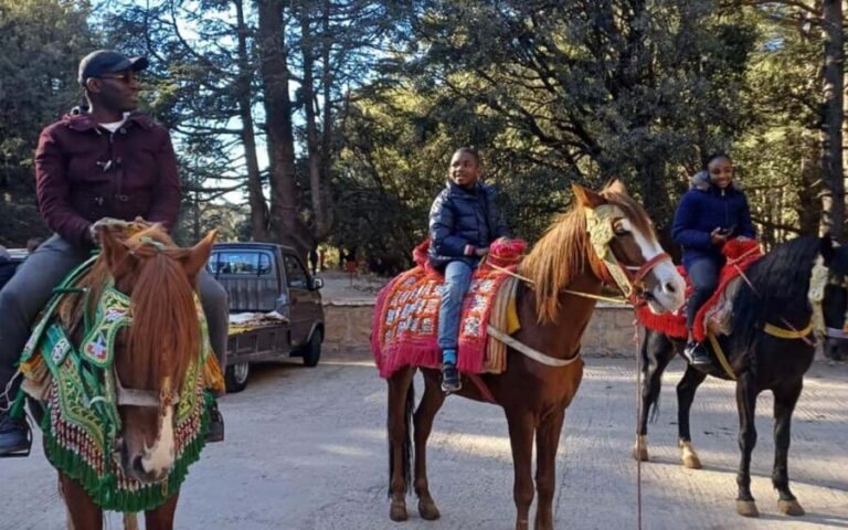 Private Luxury Tangier Desert Tours 6 Days - Overall Value and Experience