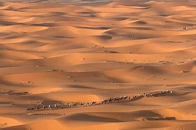 Private Luxury Tents ,Camel ride and Sandboard in Merzouga Desert - What Makes This Tour Stand Out?