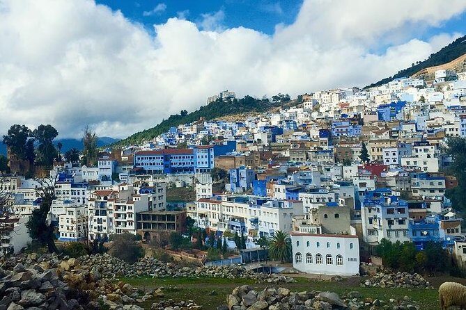 Private Luxury Transfer From Fes to Tangier via Chefchaouen - Comfort and Convenience