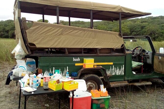 Private Maputo National Park Safari Day Tour with Pickup - What the Tour Includes and How It Fits Your Travel Needs