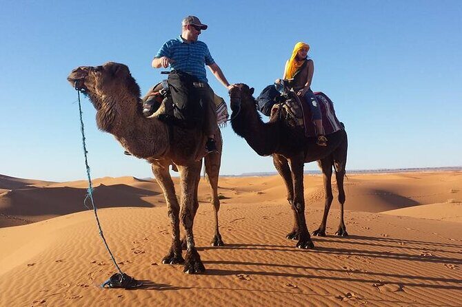 Private Marrakech Desert tour to Fes - Practical Details & Value Analysis